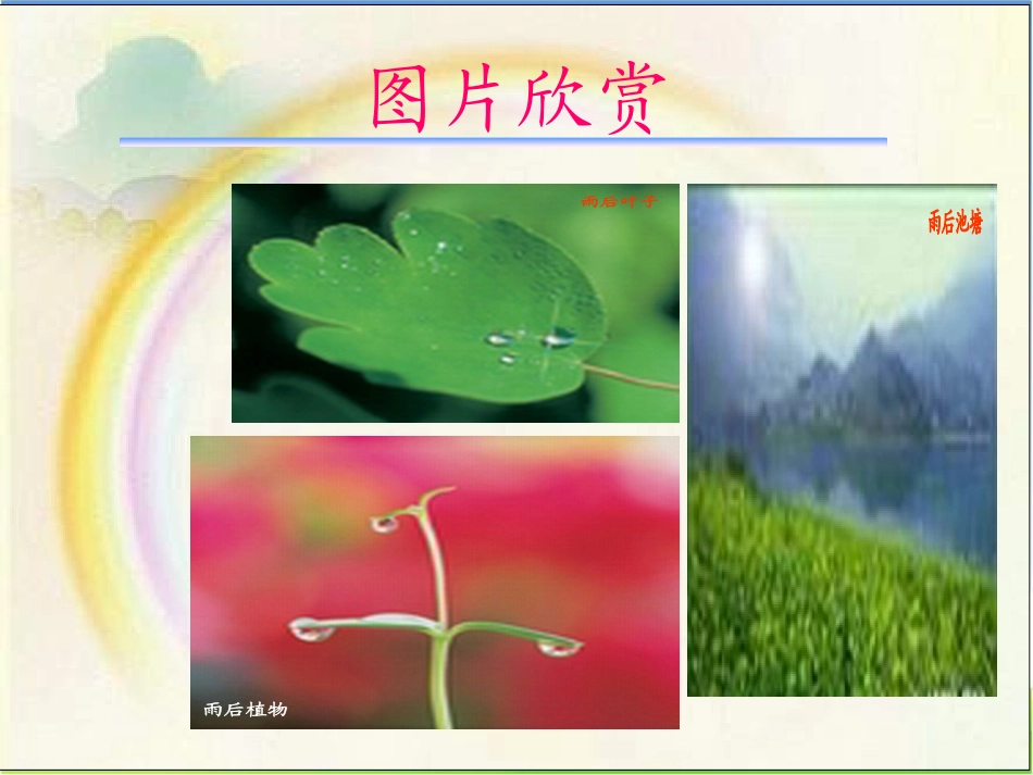 《雨后》教学课件(2)_第2页