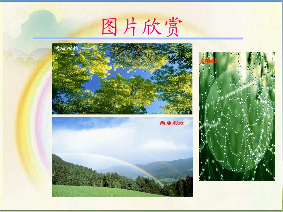 《雨后》教学课件(2)_第3页
