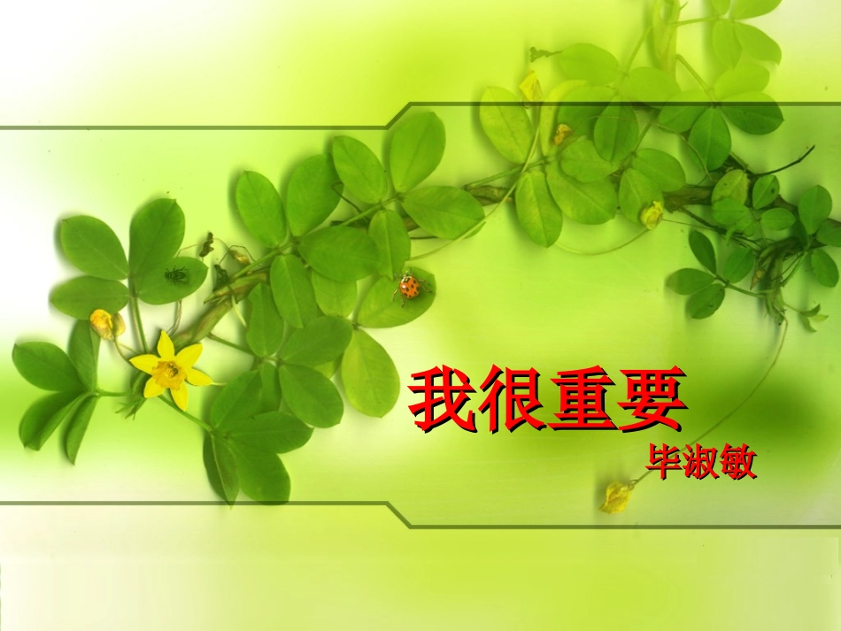 《我很重要》课件_第3页