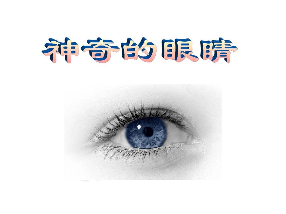 《眼睛与视力矫正》+flash课件2_第1页