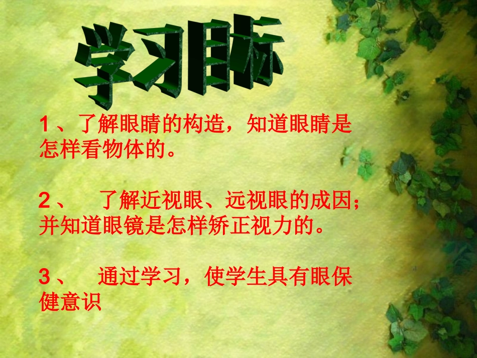 《眼睛与视力矫正》+flash课件2_第3页