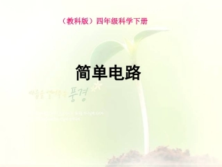 《简单电路》PPT课件之二(教科版)（曾德昌）