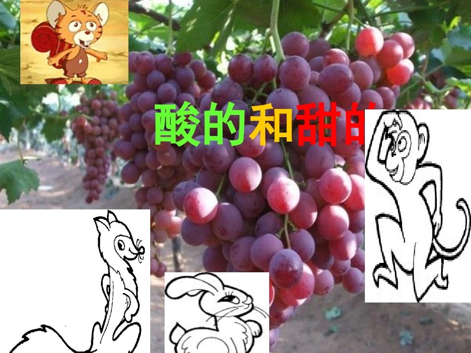 《酸的和甜的》教学课件_第2页