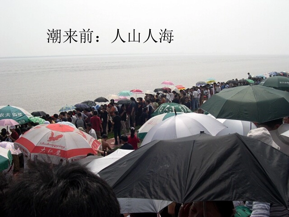 《观潮》课件 (2)_第3页
