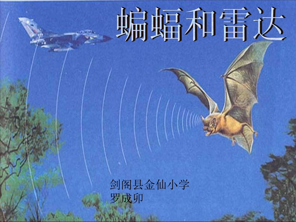 《蝙蝠和雷达》微课件_第1页