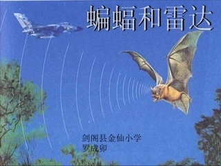 《蝙蝠和雷达》微课件