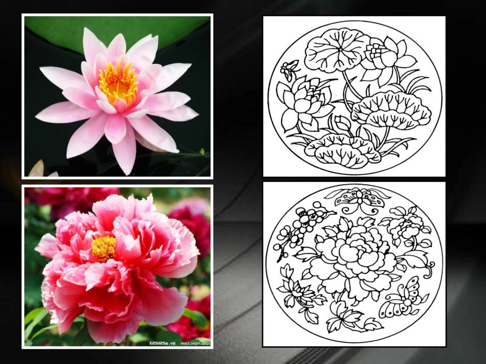 《扮靓生活的花卉纹样》_第2页