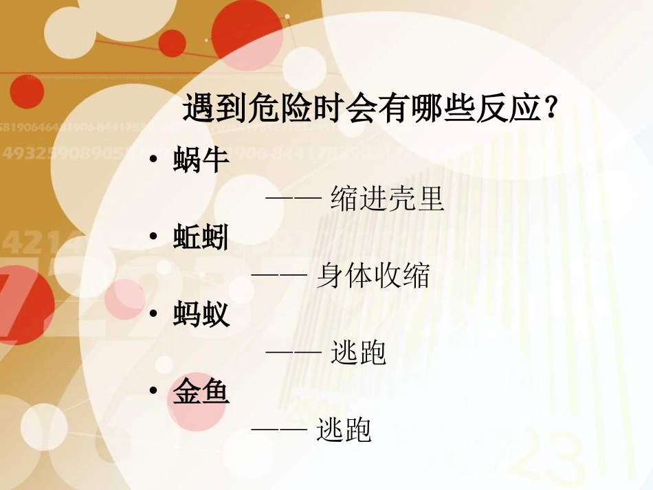 《校园里的小动物》_第2页