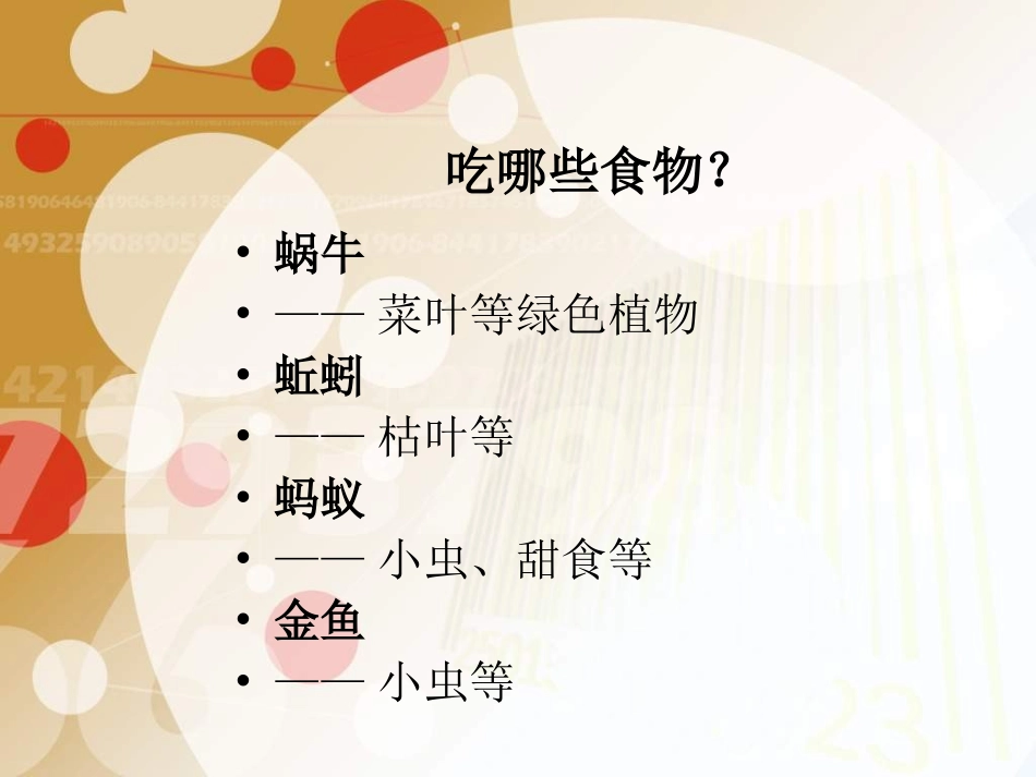 《校园里的小动物》_第3页