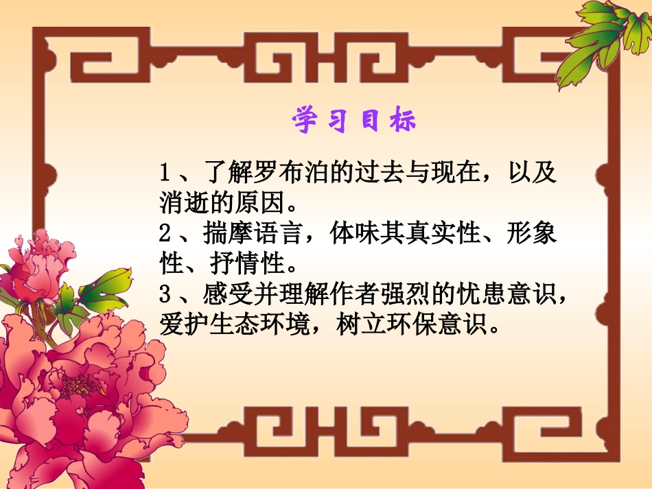 《罗布泊，消逝的仙湖》课件_第2页