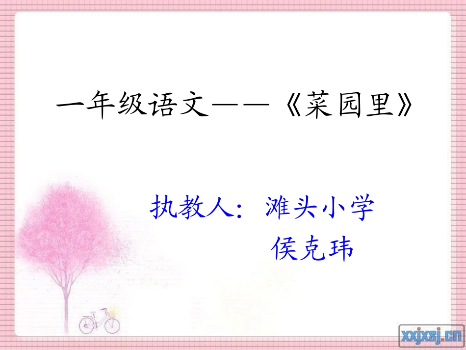 《菜园里》课件 (2)_第1页