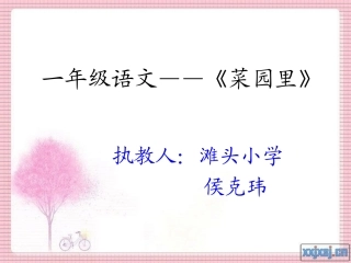 《菜园里》课件 (2)