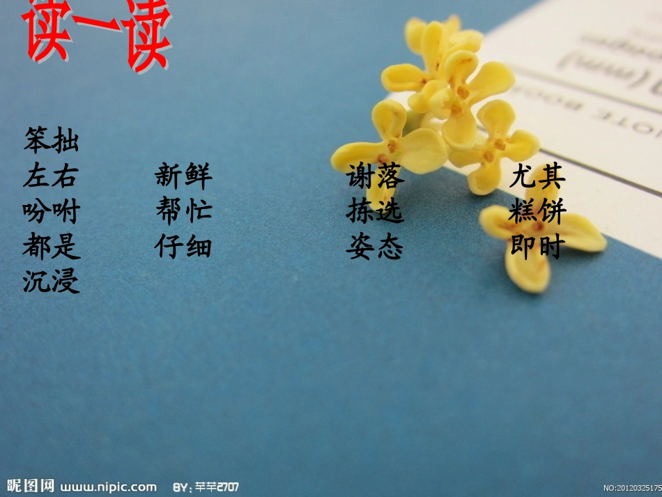 《桂花雨》教学课件PPT_第3页