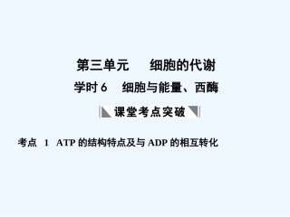 【创新设计】2011届高考生物一轮复习 第三单元 学时6  细胞与能量、酶课件 浙科版必修1