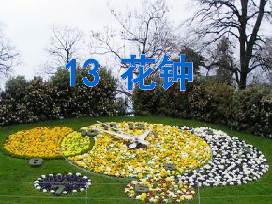 《花钟》课件_第1页