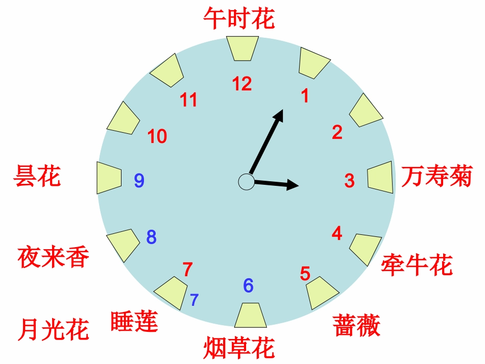 《花钟》课件_第3页