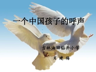 一个中国孩子的呼声 (3)