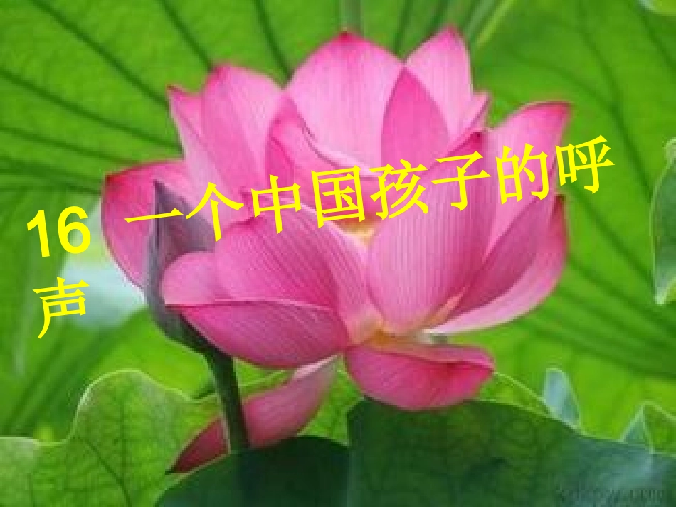 一个中国孩子的呼声 (4)_第1页