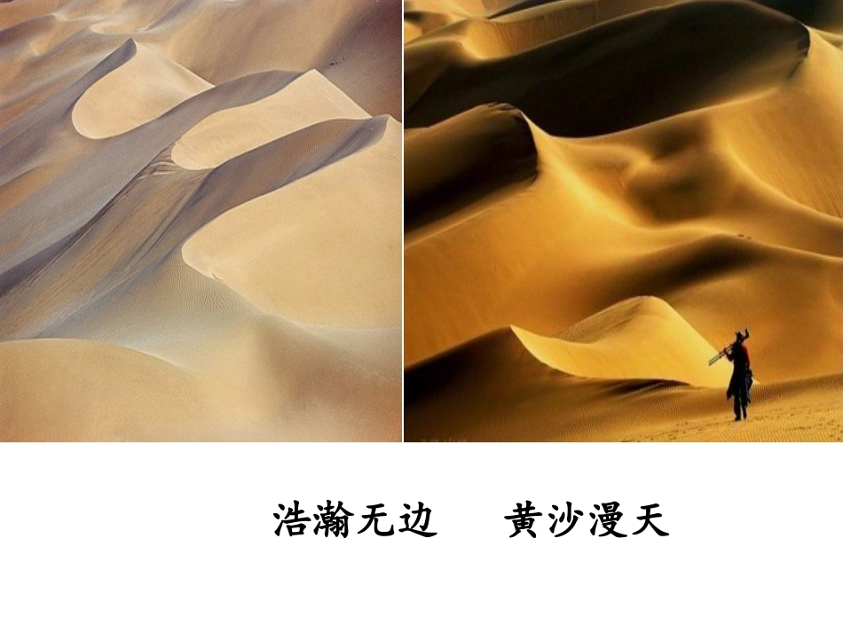 《沙漠中的绿洲》课件_第2页