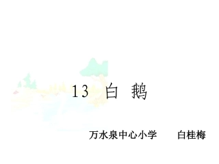 《白鹅》课件 (2)