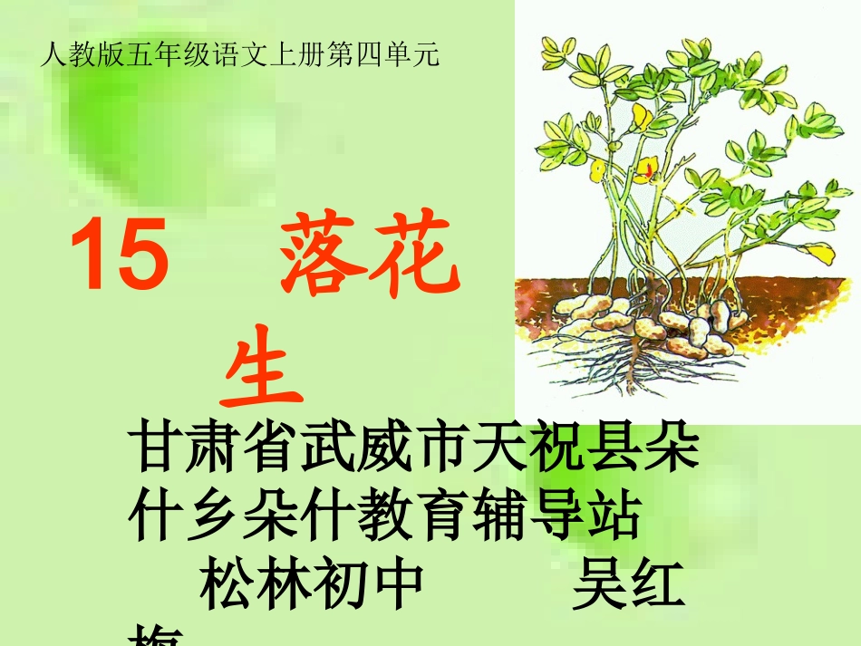 《落花生》课件4(恢复)_第1页