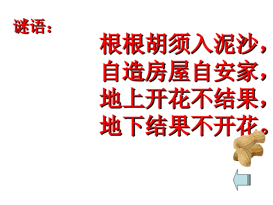 《落花生》课件4(恢复)_第2页