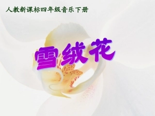 《雪绒花》PPT课件(人教新课标四年级音乐下册课件)