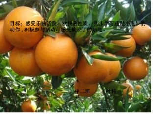 《摘果子》演示文稿