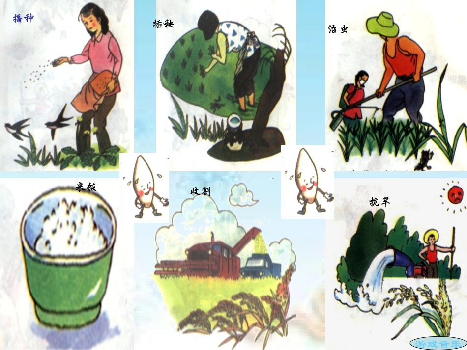 《节约粮食》主题班会_第2页