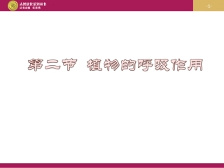 《第二节绿色植物的呼吸作用》课件1