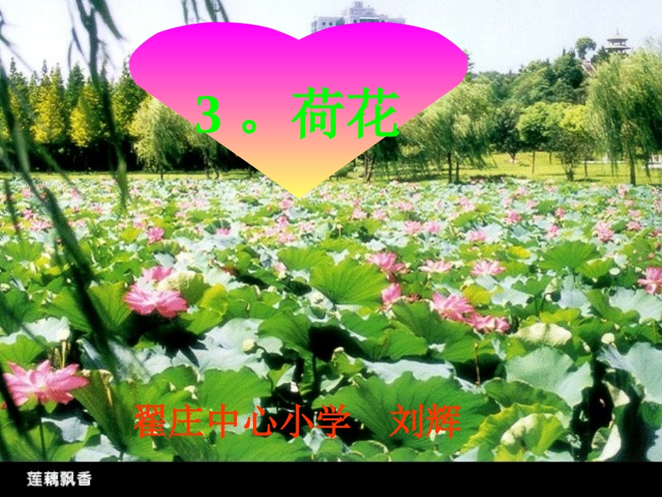 《荷花》课件【31页】_第1页