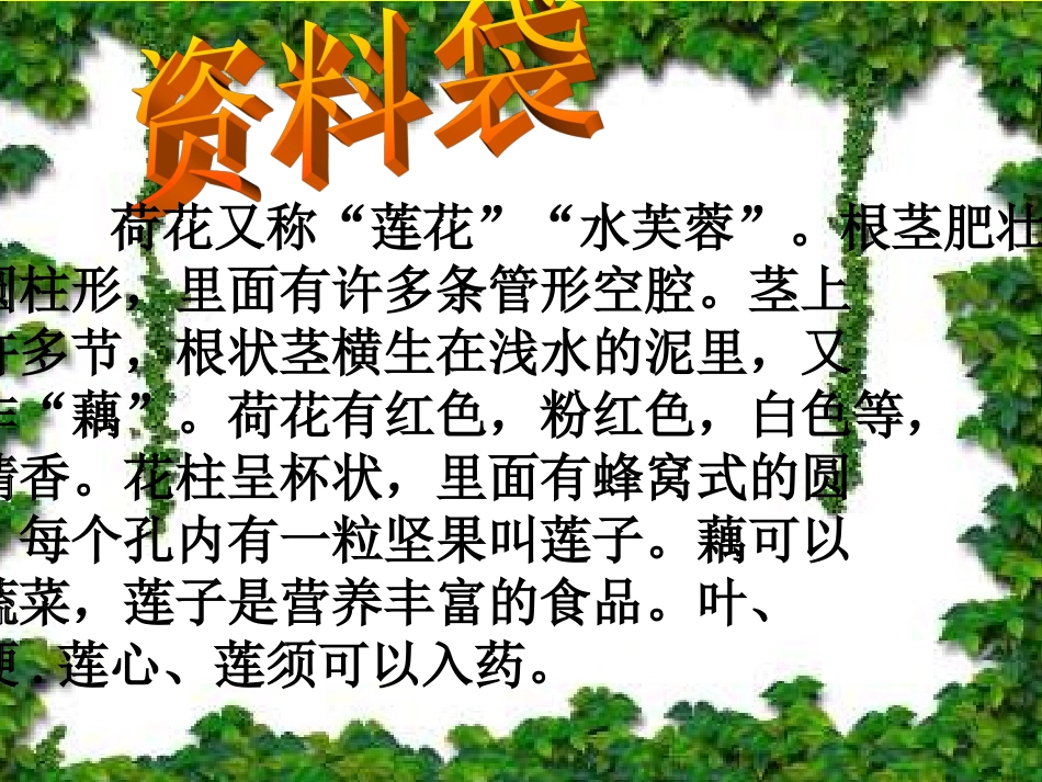 《荷花》课件【31页】_第2页