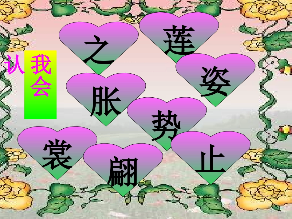 《荷花》课件【31页】_第3页