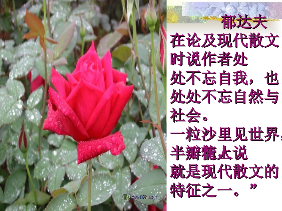 《荷塘月色》课件 (3)_第3页
