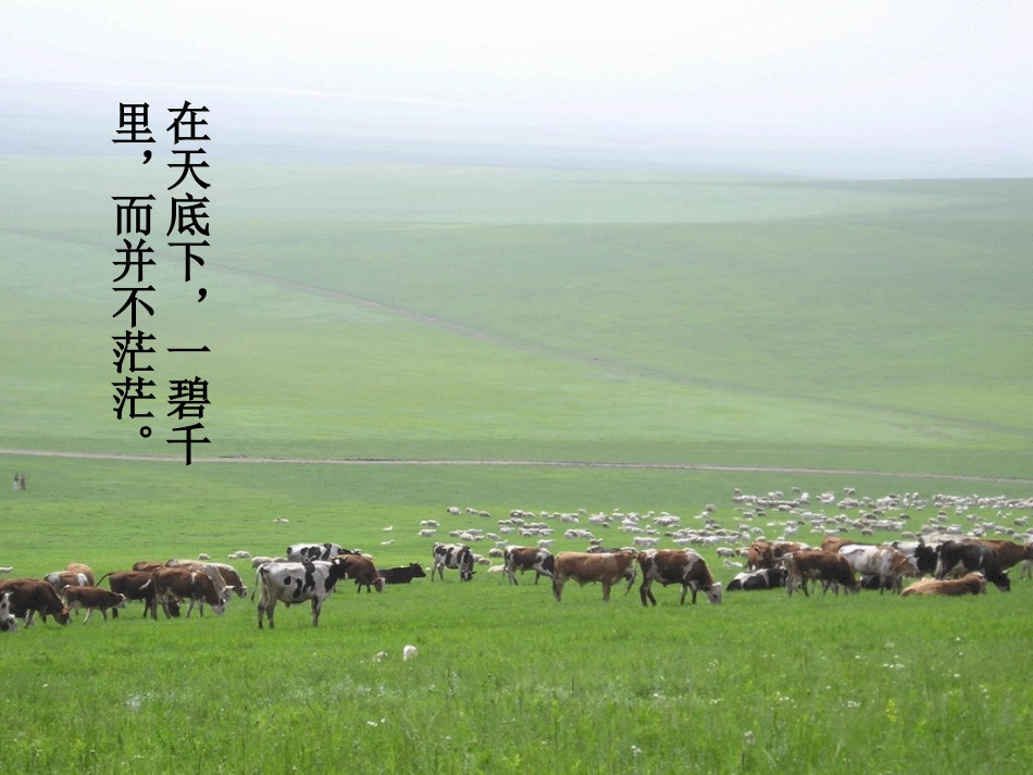 《草原》朗读[1]_第3页