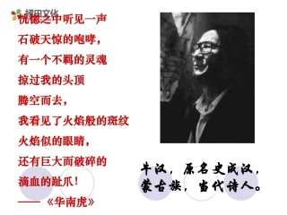 《我的第一本书》课件1