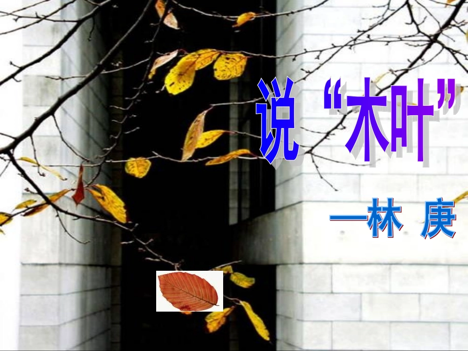 《说木叶》36张_第3页