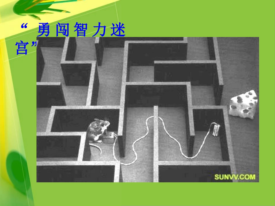 《我选我》第二课时_第2页