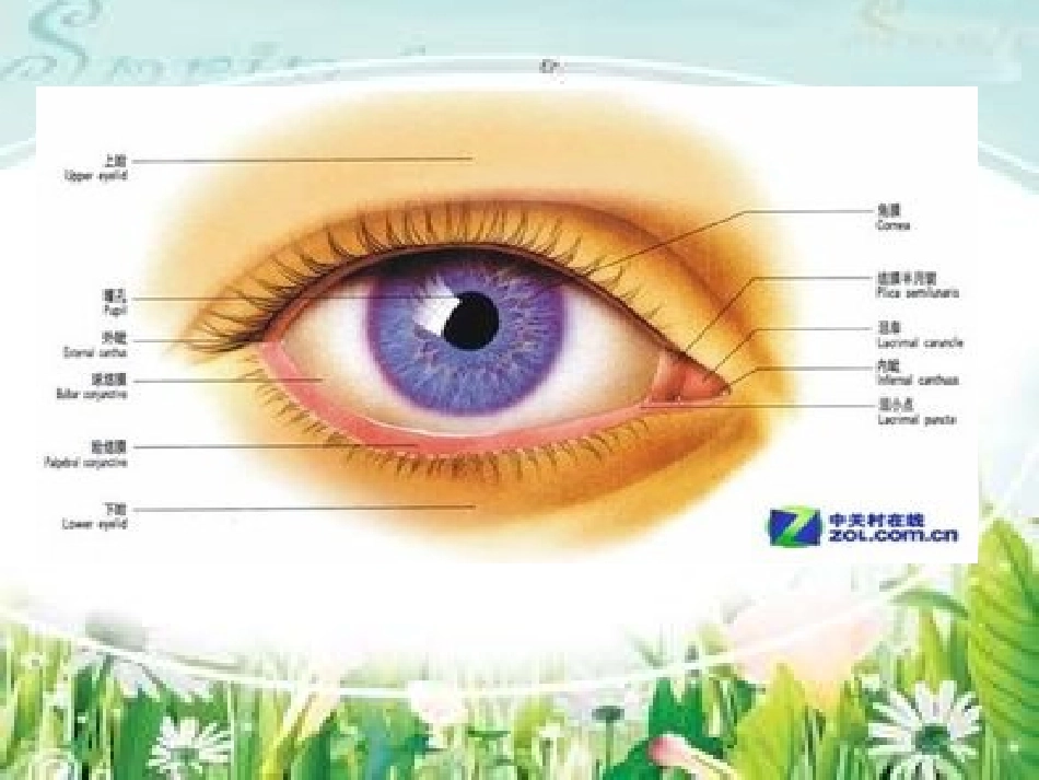 《永生的眼睛》_第2页