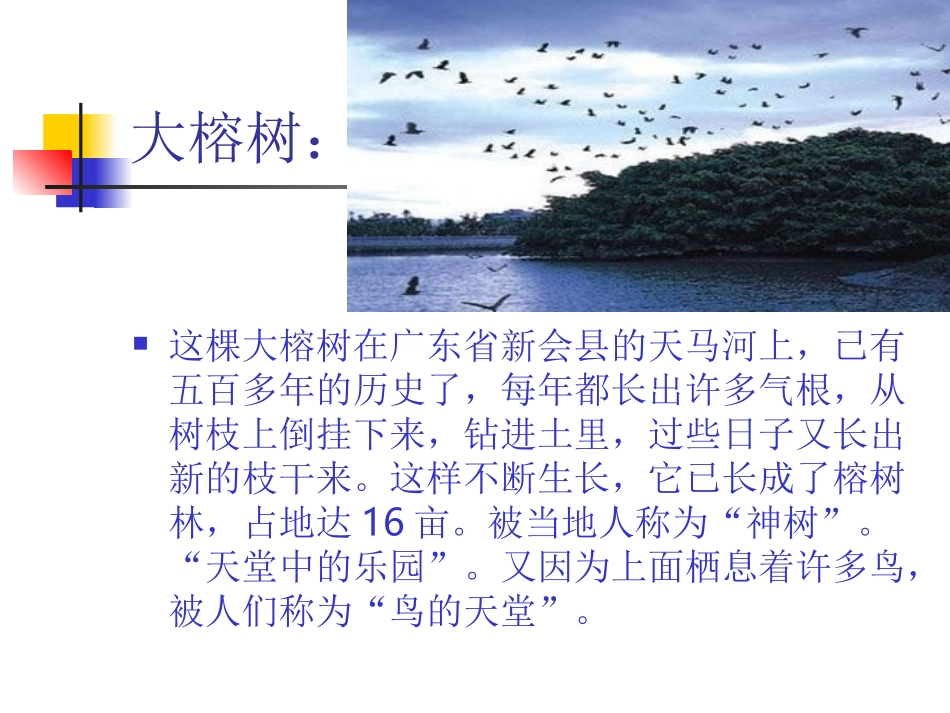 《鸟的天堂》 (3)_第3页