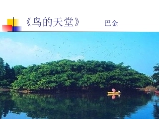 《鸟的天堂》 (3)