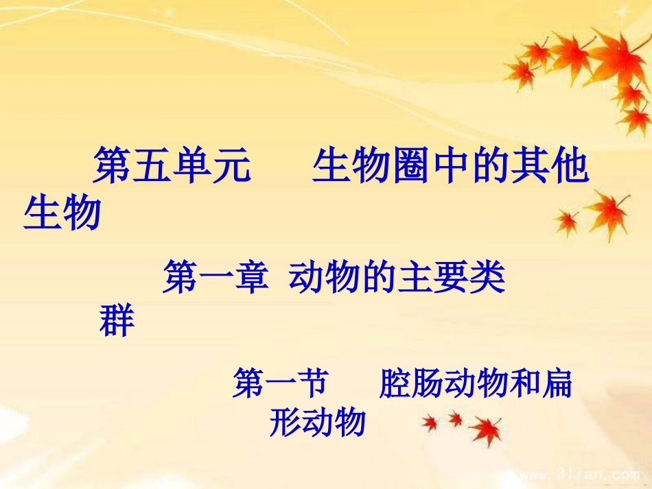 《扁形动物》课件_第1页