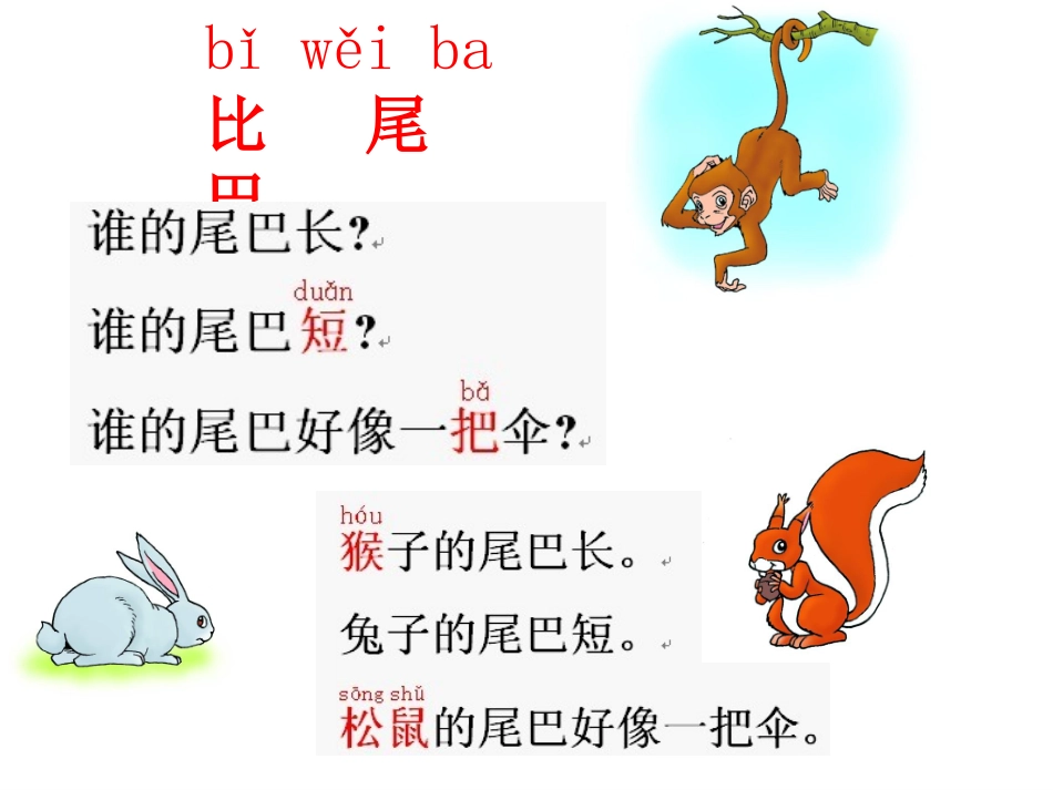 一年级上册《比尾巴》_第3页