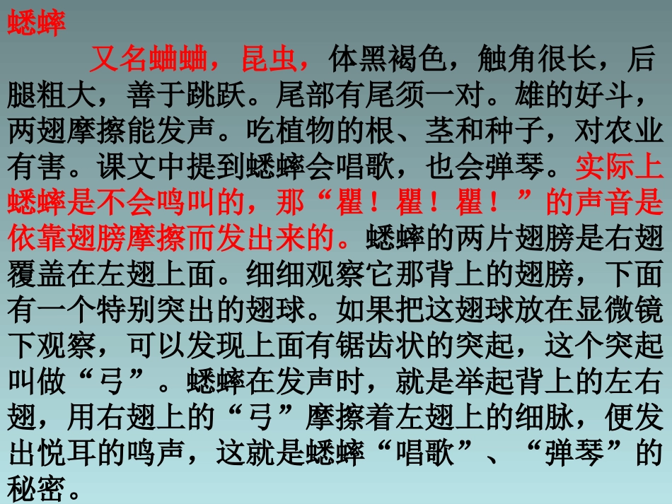 《蟋蟀的住宅》课件_第3页