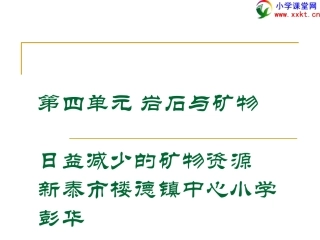 《日益减少的矿物资源》PPT课件(苏教版)