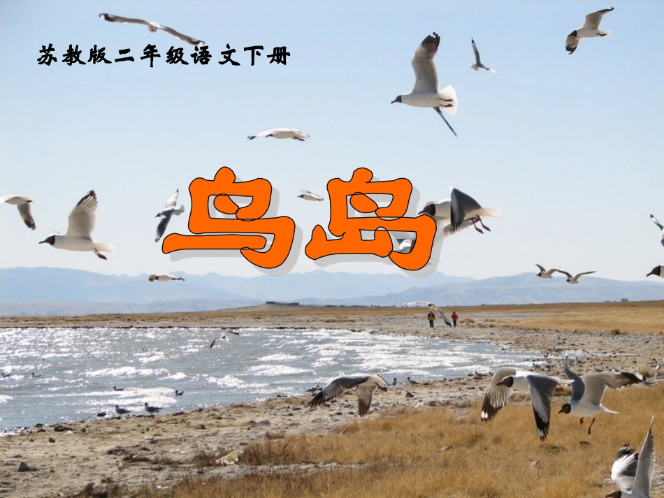 《鸟岛》PPT课件(苏教版二年级语文下册课件)2013_第2页