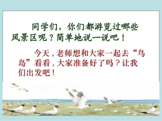 《鸟岛》PPT课件(苏教版二年级语文下册课件)2013
