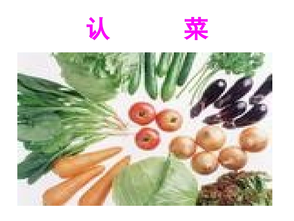 《菜园里》教学设计_第3页