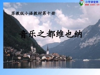 《音乐之都维也纳》PPT课件