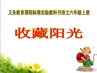 《收藏阳光》课件